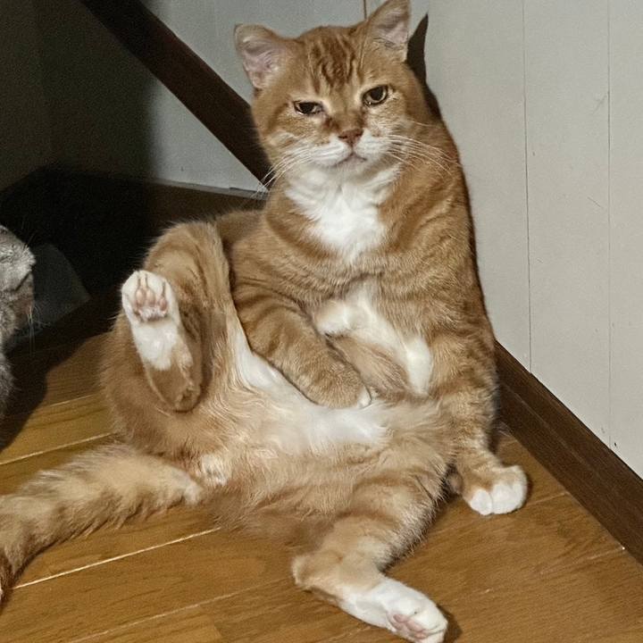 7fa35334 7466 41e3 96e0 c9db46a3480e 1718660715920