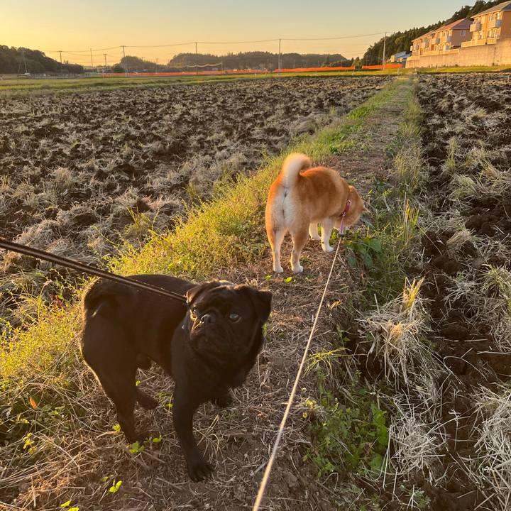 7fa36190 b19b 4ec7 af93 44d21a5f5141 1667478916740