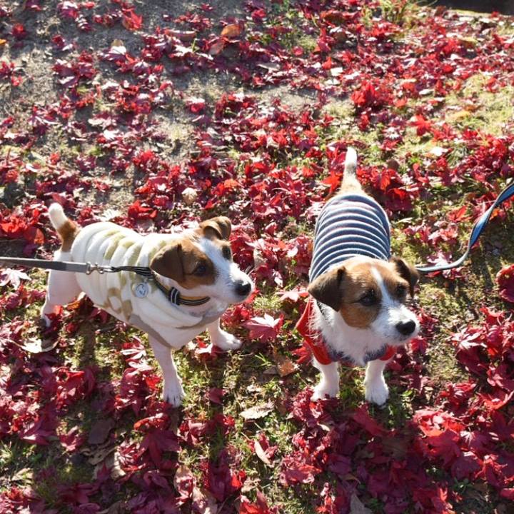 7fa3e98d 8310 400d ac28 4a7a6ad45e88 1510050100670