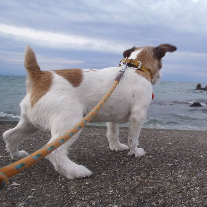 7fa412ce 6482 4266 8b14 1d61a90c07c3 1512889744652