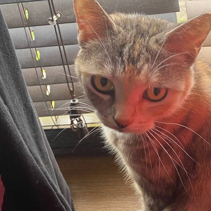 7fa44973 7a62 4d57 a4de 48fa649dbb9a 1595118305952