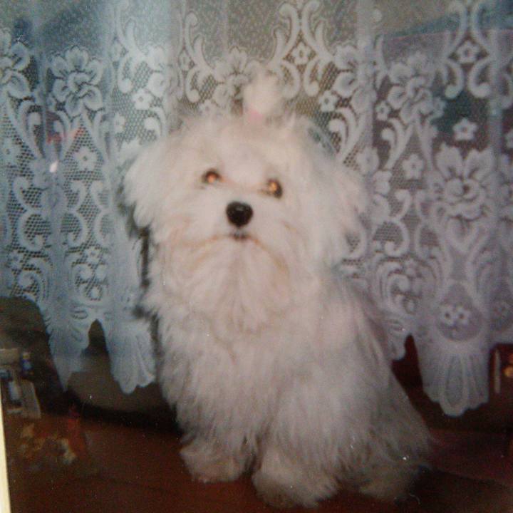 7fa4530f c483 4d02 90ce 5edd43b9d7cc 1517185895993