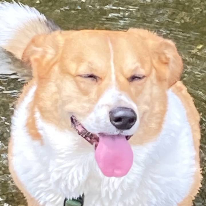 7fa45533 0dfd 4408 ab0d f858fda95ea5 1748059285758