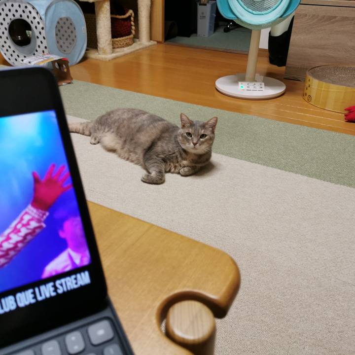 7fa45595 f890 4d42 8c3d 005d848f7528 1623421902231