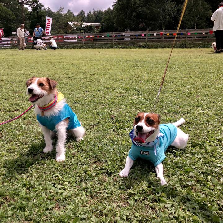 7fa49121 df99 4d32 8885 ebd1c9e88028 1566731852078