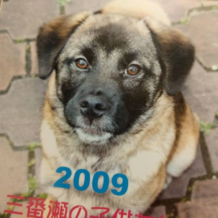 7fa4b475 d17c 4e64 b5fa a4ea036b4bce 1554192573874