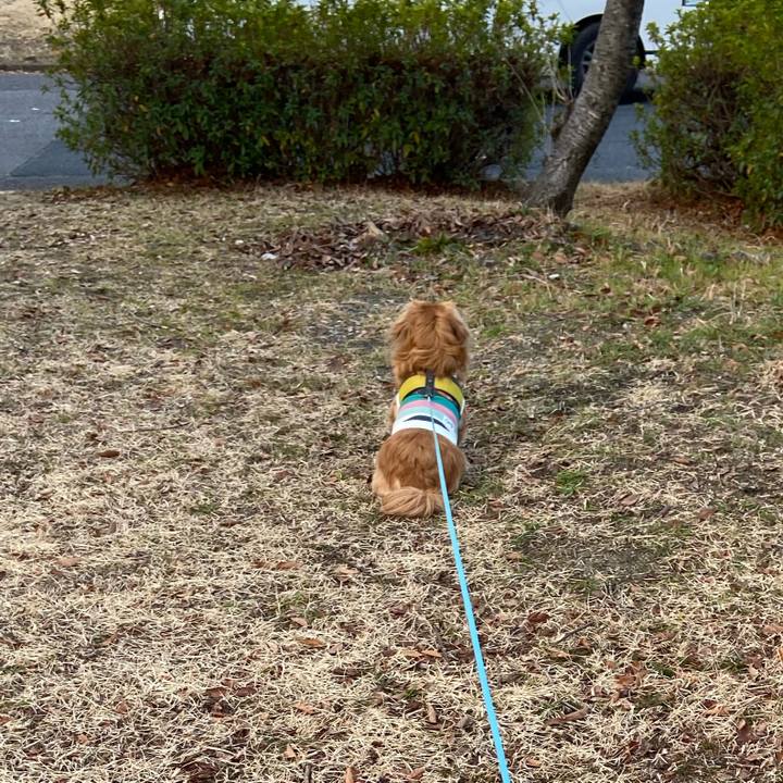 7fa4c99a 9905 4d5f b5b5 3a27a2823414 1612737680984