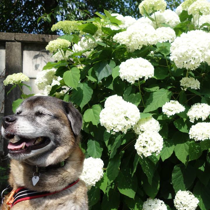 7fa4d570 0c99 4d63 b6db cb2e8735e468 1640220446233