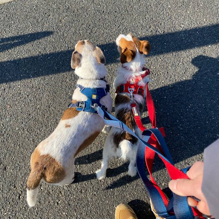 7fa4f09f b2a1 4098 80fe 77154aa22da9 1646014563277