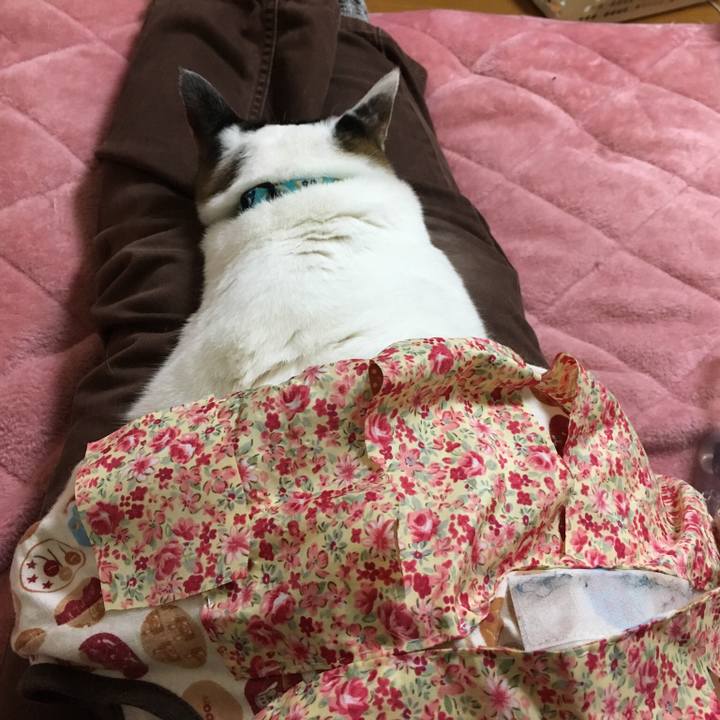 7fa51bd3 b754 47fa 9243 b911b120ab67 1517745869481