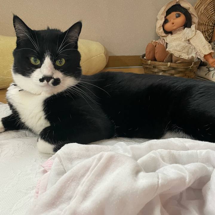 7fa52de1 93b7 4c11 9720 63f4288da8f8 1658872509684