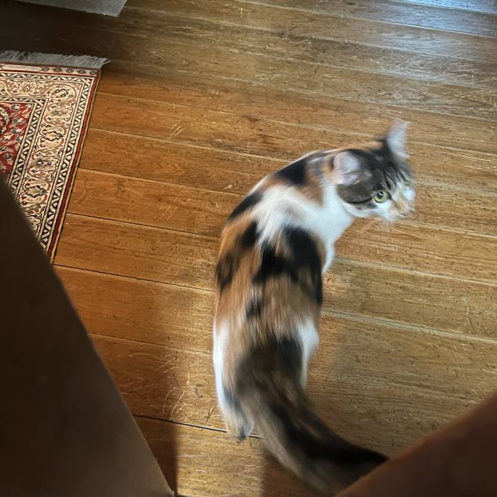 7fa5667e 0874 4e9d 860c 9199908ddf4d 1760136724615