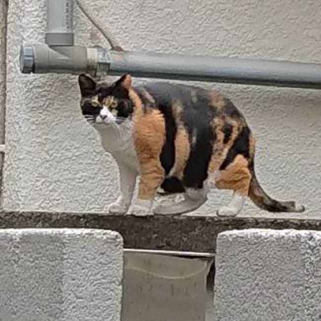 7fa57879 be17 4d33 8ece b11fafe8133d 1632630699080