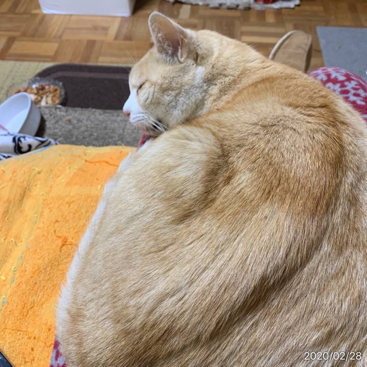 7fa5803b 1405 4076 b99a bc5cf35f6e45 1582899771320