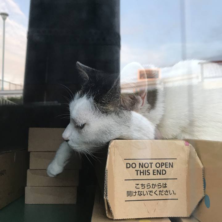 7fa58c0b a118 4eac a9e9 d7f979da3db5 1537690607233