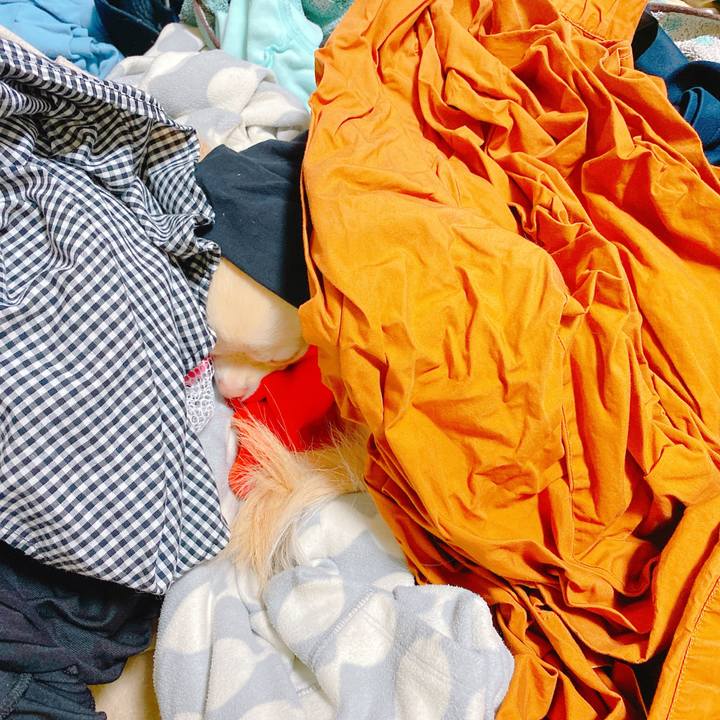 7fa5ac1e f8de 4f4e a7d2 a248f92c0e8b 1640149617805