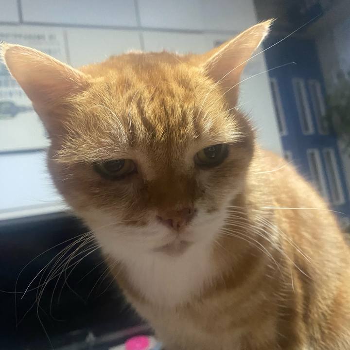 7fa5c29f 5cf1 45b8 a68d 20be77802e70 1763672853680