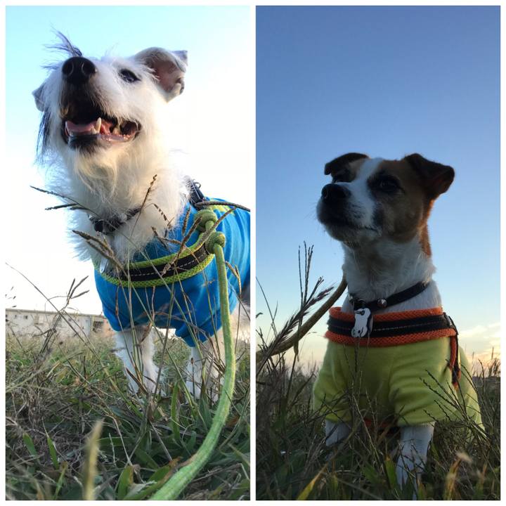 7fa5d053 b7a2 49f4 af15 e0073a30491e 1538469573281