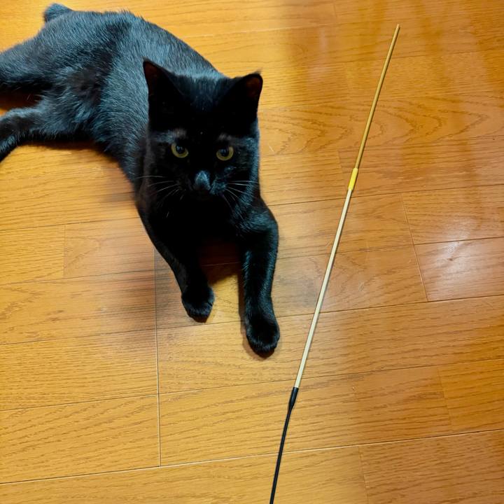 7fa5df65 98da 4784 9b3c d12dc601c7a0 1748039587610