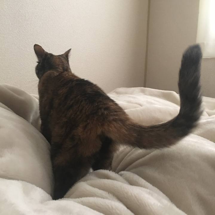 7fa5f305 51fa 4080 8c84 823f7c288925 1538237631147