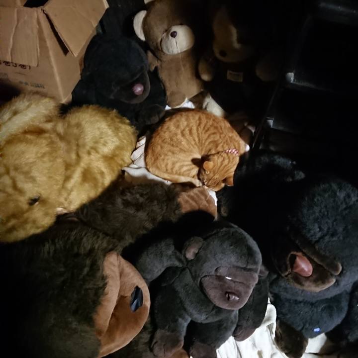 7fa6195e 438b 4468 8c0b 5bd8697c6d94 1606821913504