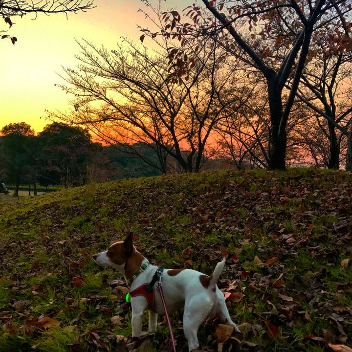 7fa6b5d5 e701 4f8e b969 fc9d1a15501b 1509879724101