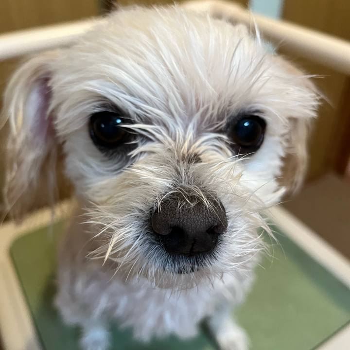 7fa6c0a5 121b 4eaf 9eb4 8e51b9ffd010 1667020513999