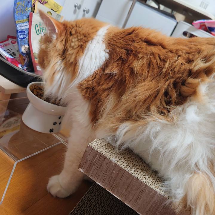 7fa6d238 c987 4343 9d57 a0854a899227 1655876796902