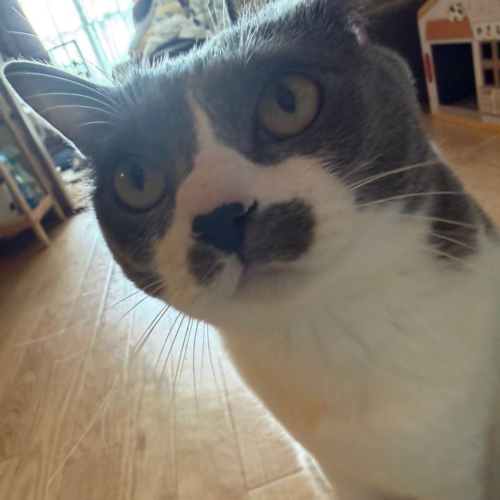 7fa6fae1 d44f 436b a6ca 7341ebd83763 1768008878232