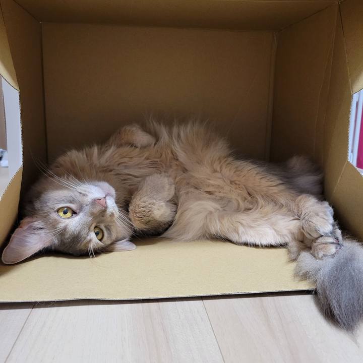 7fa70e5a efdf 4ead b63e 2d014bbd42cf 1660276711654