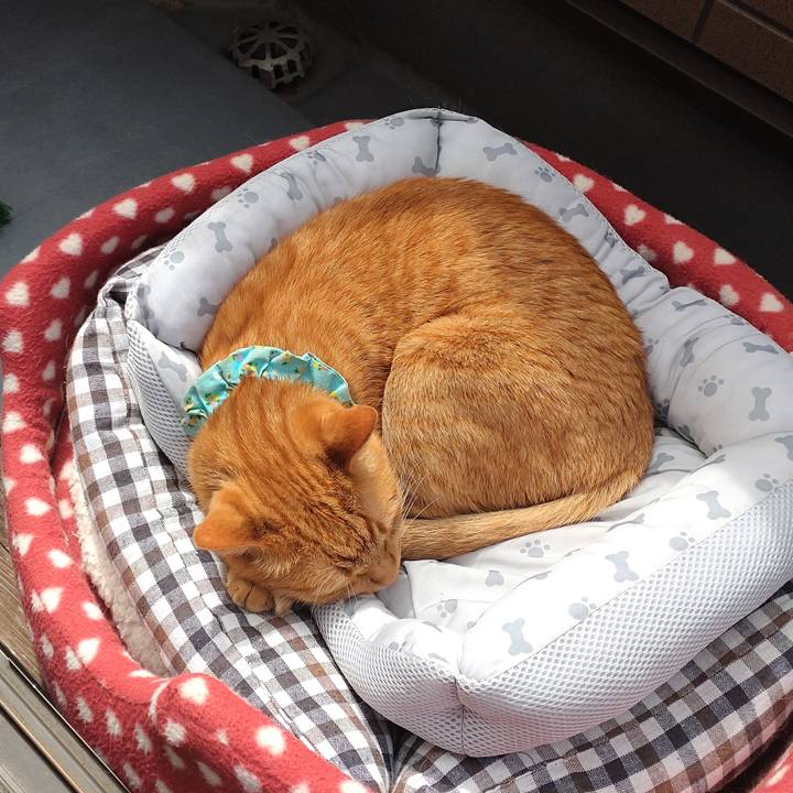 7fa74290 8b17 442c be68 5f1217778592 1746943590082