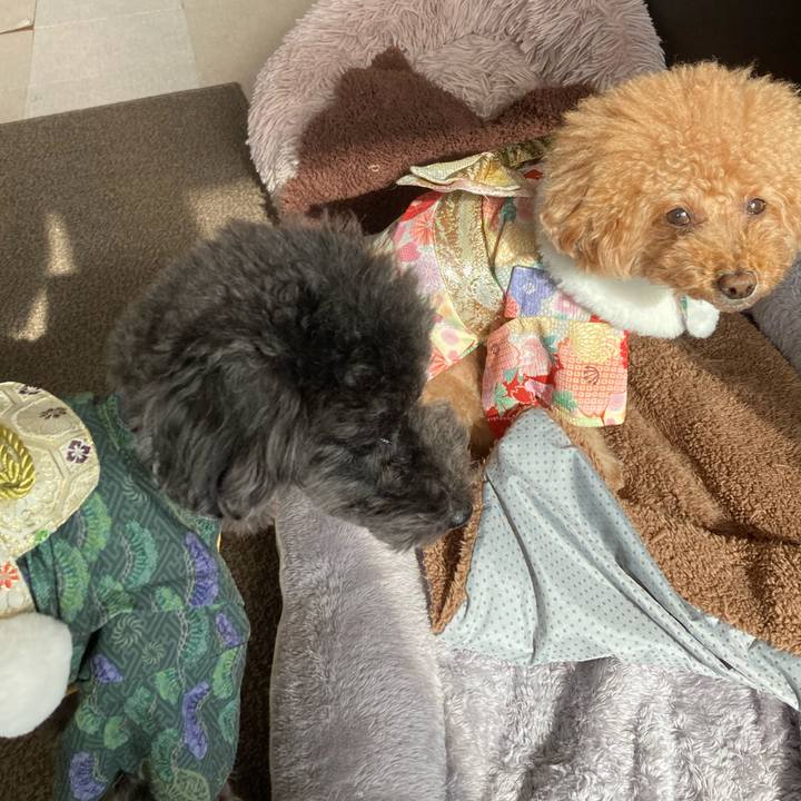 7fa77d29 02df 475a 892c 42f7d0821391 1672889966847