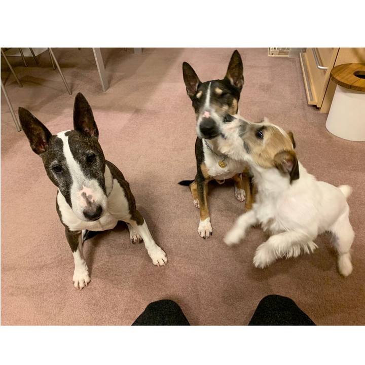 7fa78880 8280 4087 a75f 13ea8787da66 1583494547341