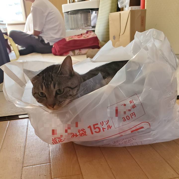 7fa7ae34 5f8d 4235 9261 6e3b40694e58 1704382856168