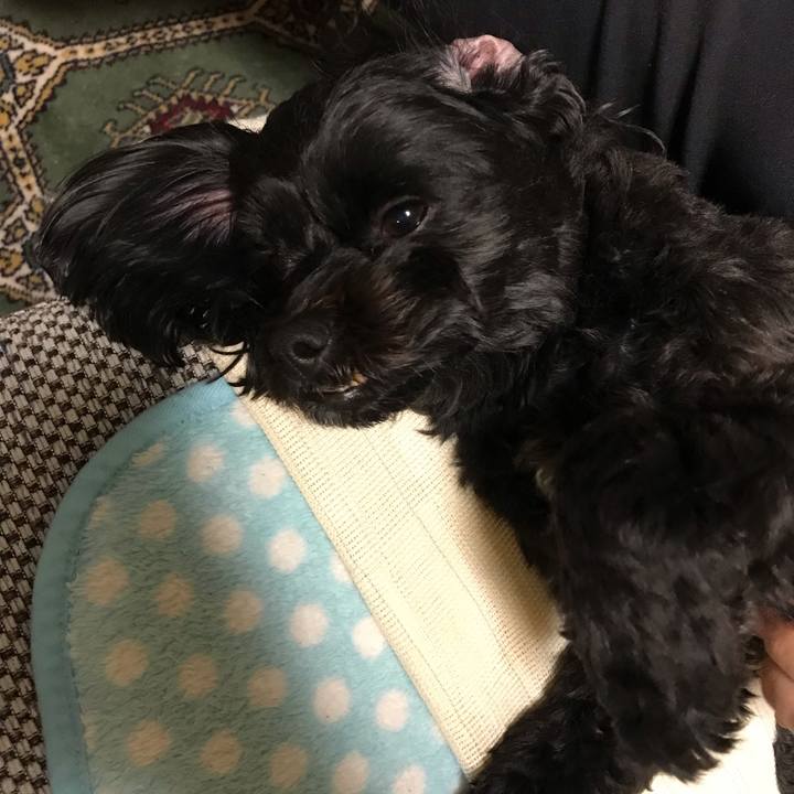 7fa7b78d bc6d 42c0 8ea5 e3905f6dc507 1553697542664