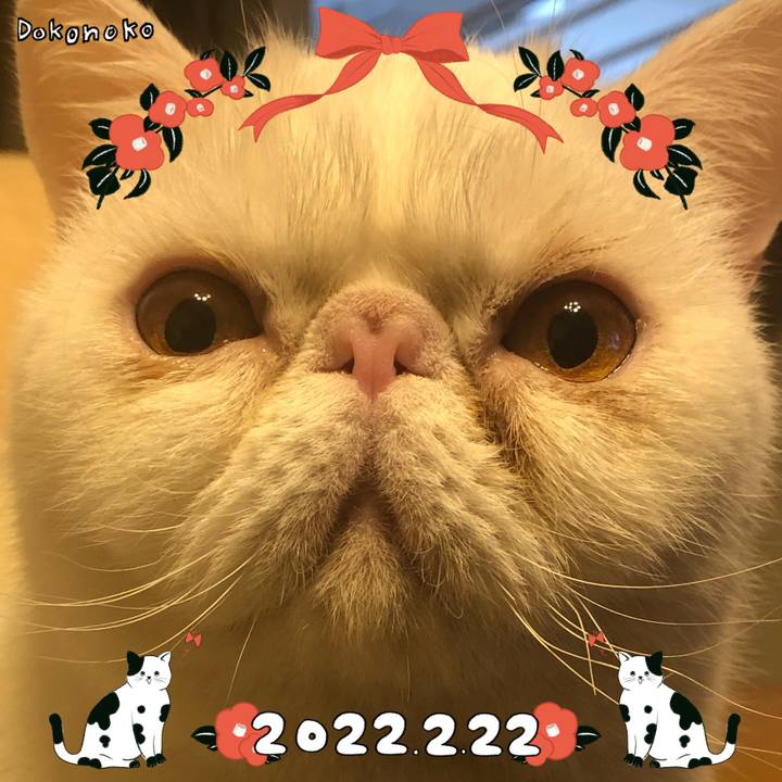 7fa7c1e3 4ead 4b30 b08e 6d923a7dbe31 1645534754075