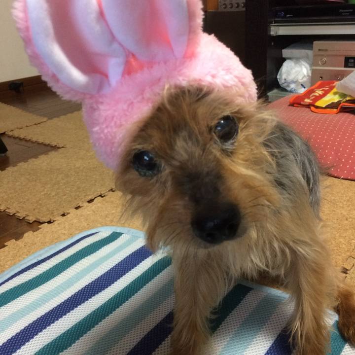 7fa7c43a eaee 4776 bff9 4d6d2e177437 1765111607913