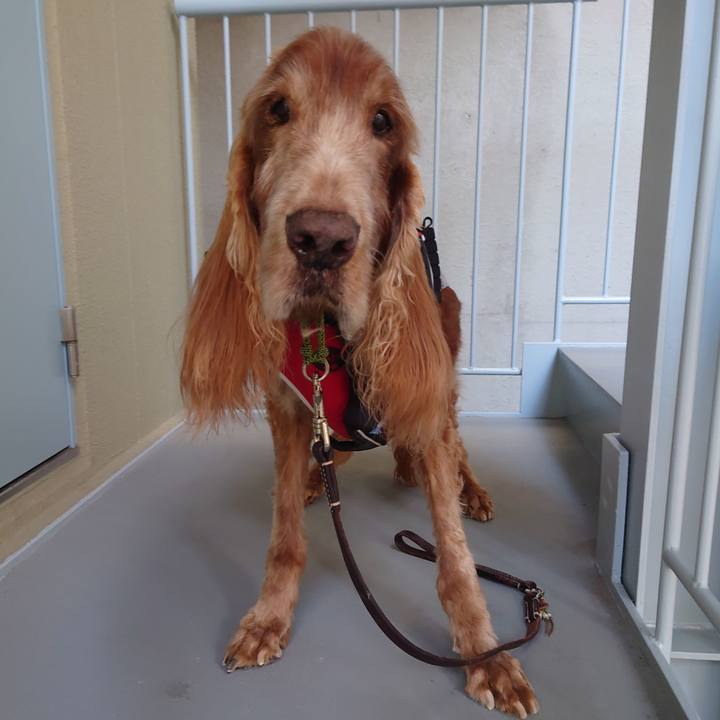 7fa7d9ad 3a0d 4cfa b058 f3ae33356d2f 1732443486542