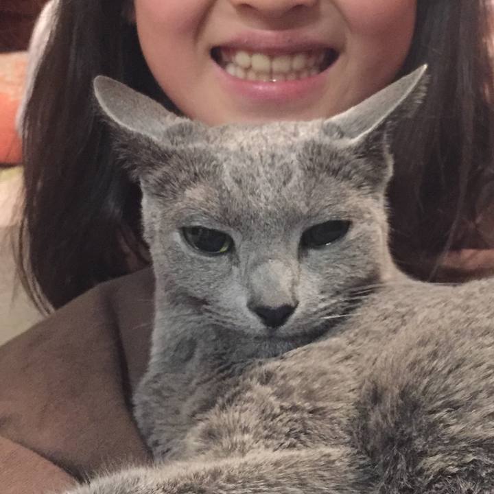 7fa7e553 4799 44e1 9705 eca8e6ec405b 1522834924640