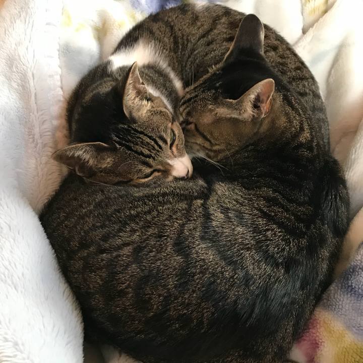 7fa7ec54 d143 48bd 93a8 390e11757156 1512780867930