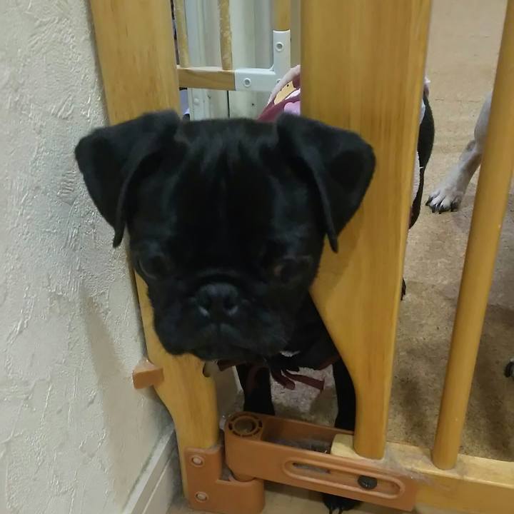 7fa818ea 8ef8 415f 89e3 c4a37f35355b 1515243886421