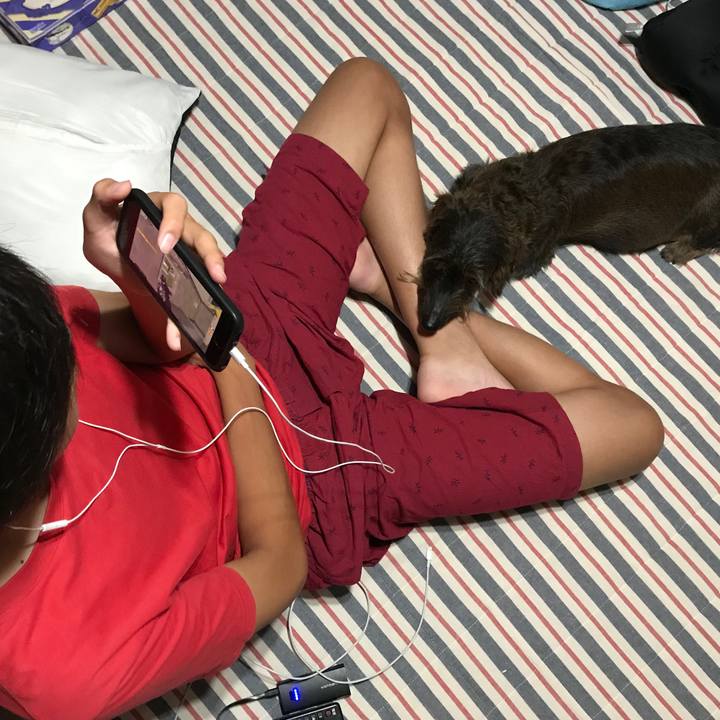 7fa83905 cc16 425e a57c 1ca1adaa1d5f 1532788767502