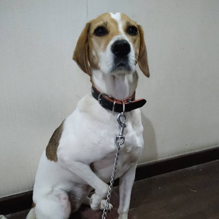 7fa85f40 2701 41c4 8be8 bfd0944159fb 1635831855343