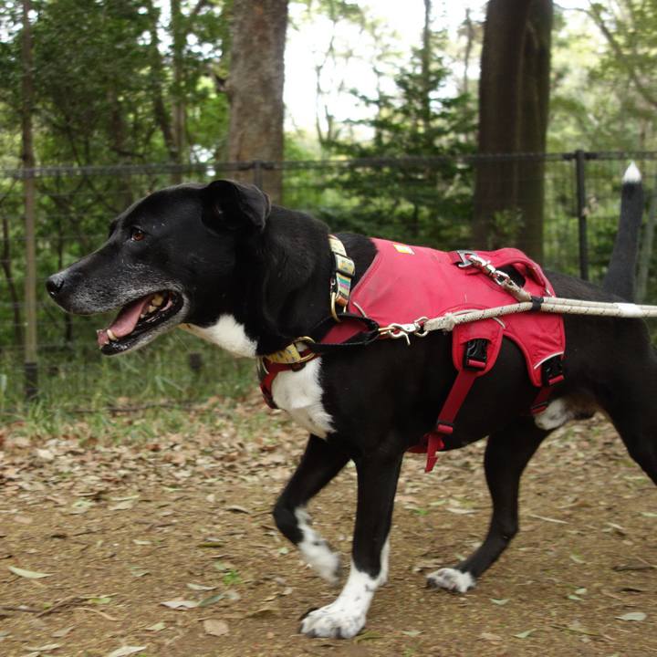 7fa89cce a9b5 42cd 9a31 782821737968 1680740156553