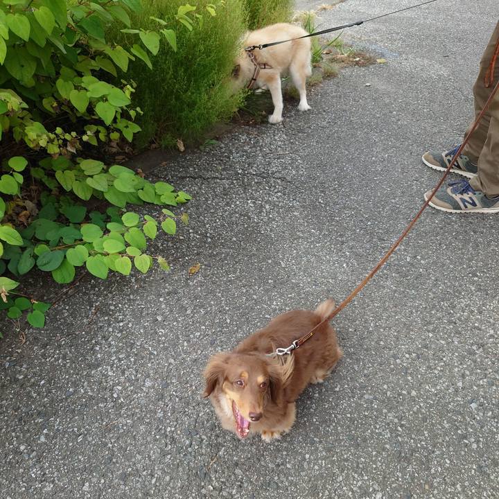 7fa8e62d a6c1 4f44 b8d7 f4f1d91ee6af 1633741571002