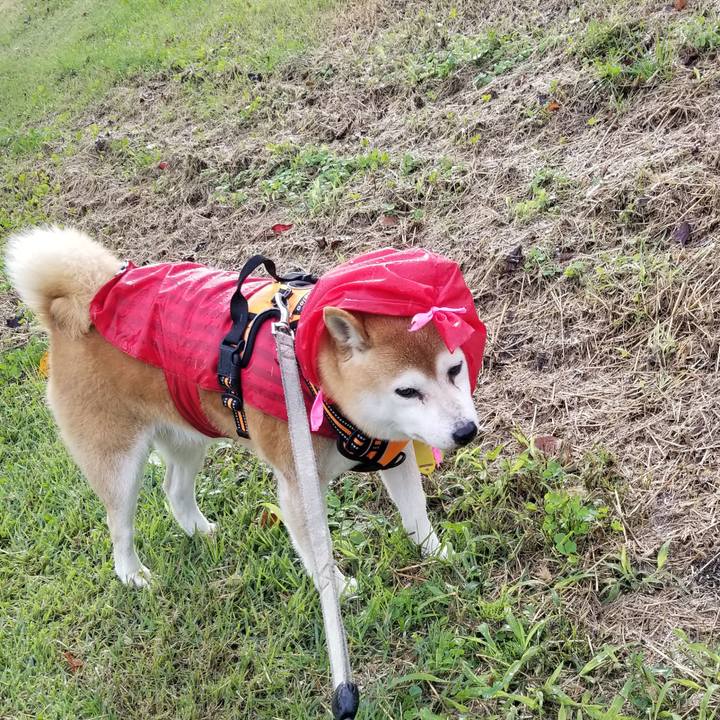 7fa9083d 72d5 48d6 ba8c 090fcb27a93c 1634706916447