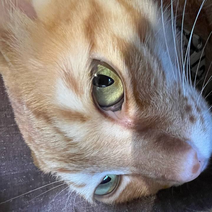 7fa915b5 7eba 4d7b 96f5 800c685e092e 1680045379577