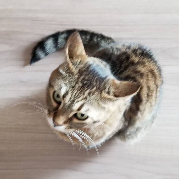 7fa940a5 3dd6 48dd a9ff f62d52b4c4cf 1616801069173