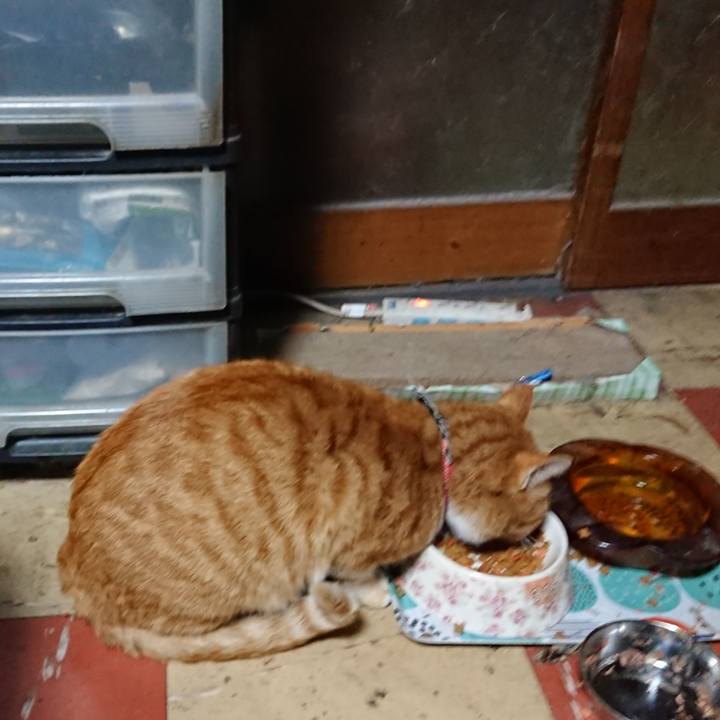 7fa95082 25fc 4cea b5a6 01ea4d922f44 1574196469307