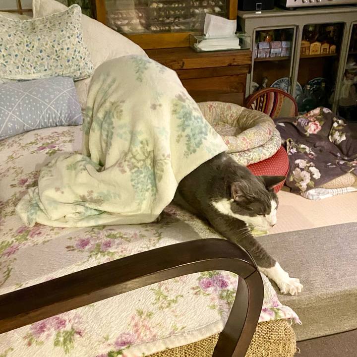 7fa951ac 6ff7 4210 9b96 ff25e6ae74c8 1758540041032